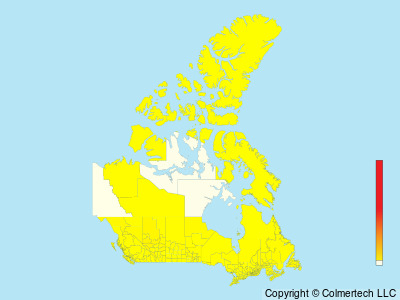 American Goshawk (Astur atricapillus) - Canada