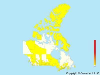 Upland Sandpiper (Bartramia longicauda) - Canada