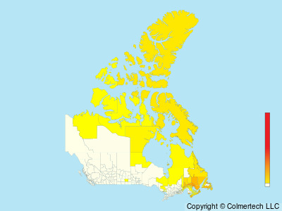 Black Guillemot (Cepphus grylle) - Canada