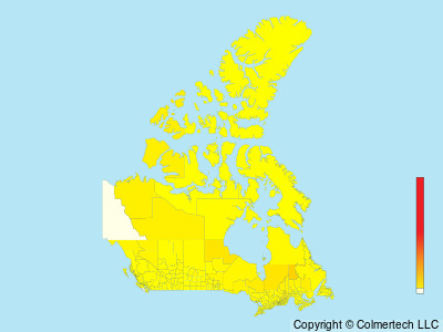Rusty Blackbird (Euphagus carolinus) - Canada