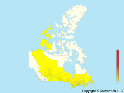 Mourning Warbler (Geothlypis philadelphia) - Canada