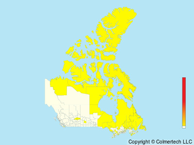 Northern Wheatear (Oenanthe oenanthe) - Canada
