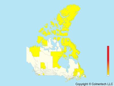 Ivory Gull (Pagophila eburnea) - Canada