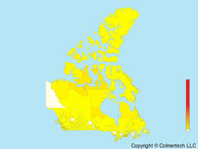 Red-necked Phalarope (Phalaropus lobatus) - Canada
