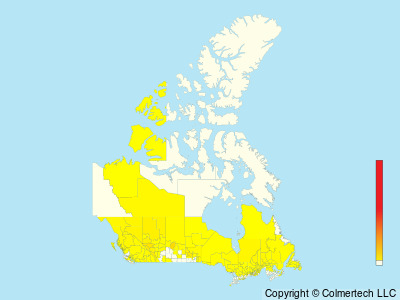 American Three-toed Woodpecker (Picoides dorsalis) - Canada
