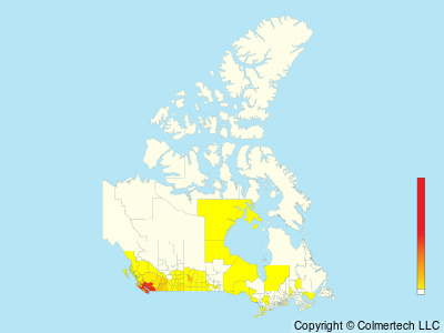 Spotted Towhee (Pipilo maculatus) - Canada