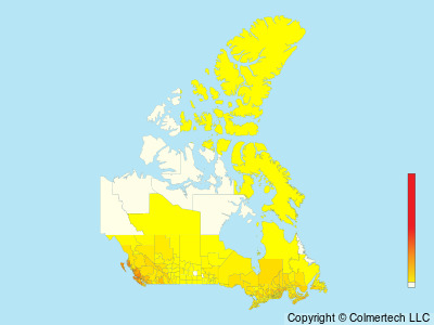 Golden-crowned Kinglet (Regulus satrapa) - Canada