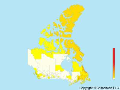 Black-legged Kittiwake (Rissa tridactyla) - Canada