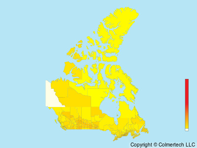 Northern Yellow Warbler (Setophaga aestiva) - Canada