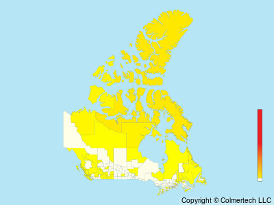Long-tailed Jaeger (Stercorarius longicaudus) - Canada