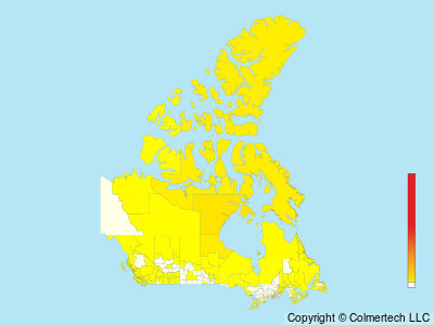 Parasitic Jaeger (Stercorarius parasiticus) - Canada
