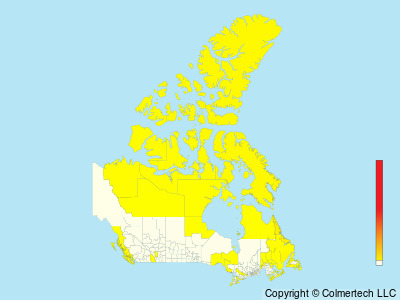 Pomarine Jaeger (Stercorarius pomarinus) - Canada