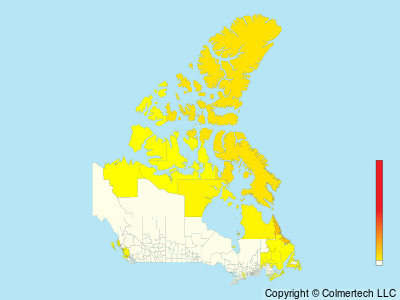 Thick-billed Murre (Uria lomvia) - Canada