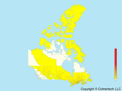Blue-headed Vireo (Vireo solitarius) - Canada