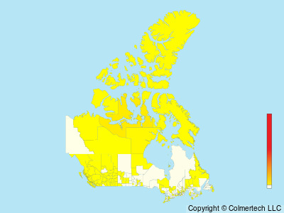 Sabine's Gull (Xema sabini) - Canada