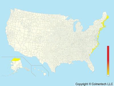 Dovekie (Alle alle) - United States