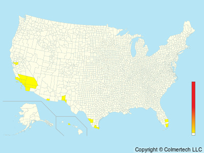 Lilac-crowned Amazon (Amazona finschi) - United States