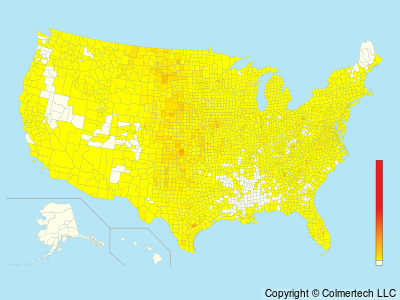 Grasshopper Sparrow (Ammodramus savannarum) - United States