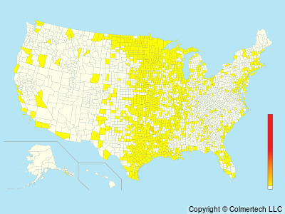 LeConte's Sparrow (Ammospiza leconteii) - United States