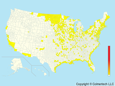 Nelson's Sparrow (Ammospiza nelsoni) - United States