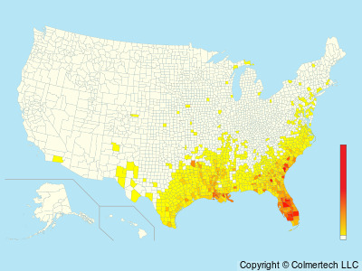Anhinga (Anhinga anhinga) - United States