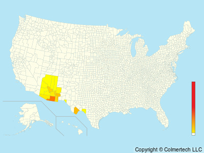 Mexican Jay (Aphelocoma wollweberi) - United States