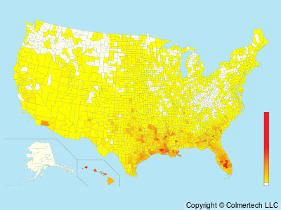 Western Cattle-Egret (Ardea ibis) - United States