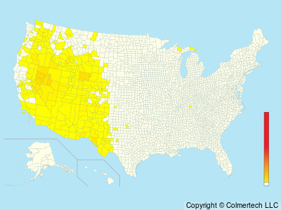 Sagebrush Sparrow (Artemisiospiza nevadensis) - United States