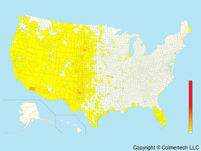 Burrowing Owl (Athene cunicularia) - United States