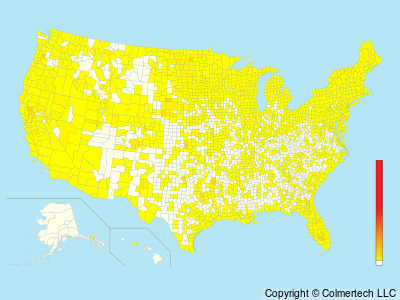 American Bittern (Botaurus lentiginosus) - United States