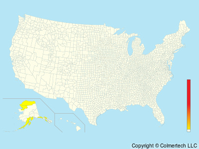Kittlitz's Murrelet (Brachyramphus brevirostris) - United States