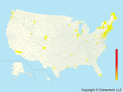 Barnacle Goose (Branta leucopsis) - United States