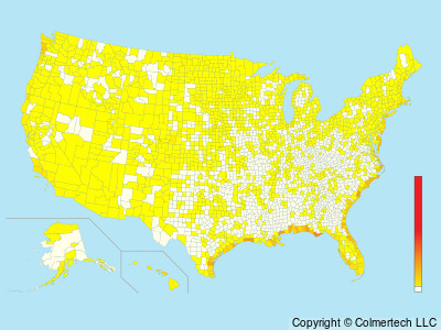 Sanderling (Calidris alba) - United States