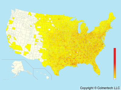 Chimney Swift (Chaetura pelagica) - United States