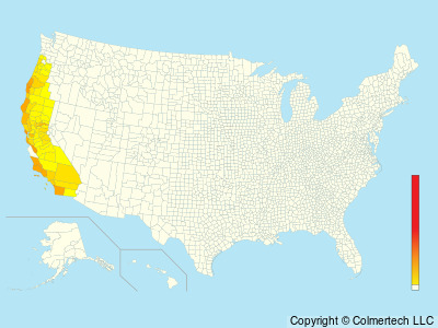 Wrentit (Chamaea fasciata) - United States