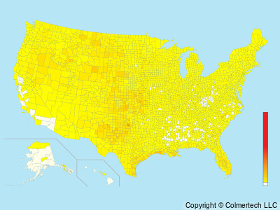 Common Nighthawk (Chordeiles minor) - United States