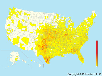 Northern Bobwhite (Colinus virginianus) - United States