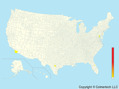 Pied Crow (Corvus albus) - United States