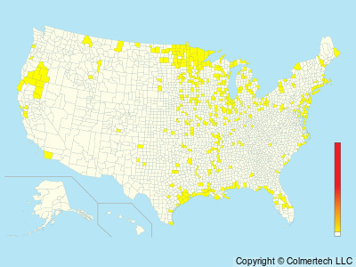 Yellow Rail (Coturnicops noveboracensis) - United States