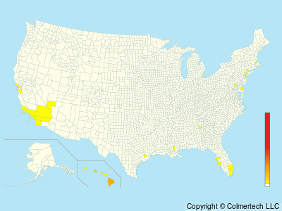 Yellow-fronted Canary (Crithagra mozambica) - United States