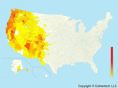 Steller's Jay (Cyanocitta stelleri) - United States
