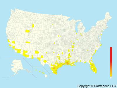 Fulvous Whistling-Duck (Dendrocygna bicolor) - United States