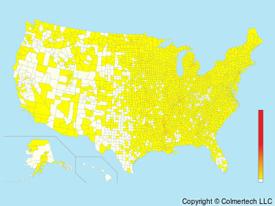 Rusty Blackbird (Euphagus carolinus) - United States