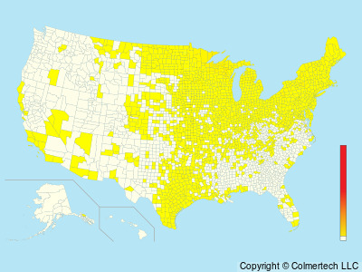 Mourning Warbler (Geothlypis philadelphia) - United States