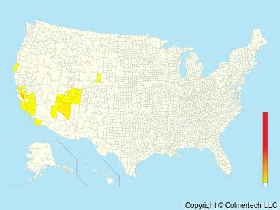 California Condor (Gymnogyps californianus) - United States