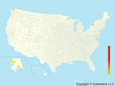 Steller's Sea-Eagle (Haliaeetus pelagicus) - United States