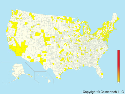 Little Gull (Hydrocoloeus minutus) - United States