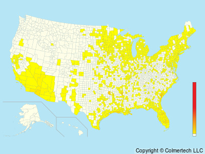 Least Bittern (Ixobrychus exilis) - United States