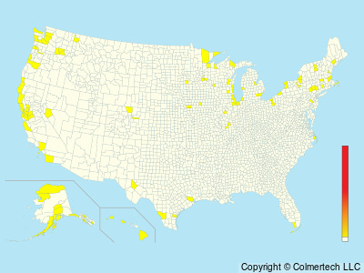Slaty-backed Gull (Larus schistisagus) - United States