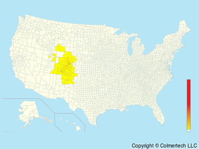 Brown-capped Rosy-Finch (Leucosticte australis) - United States